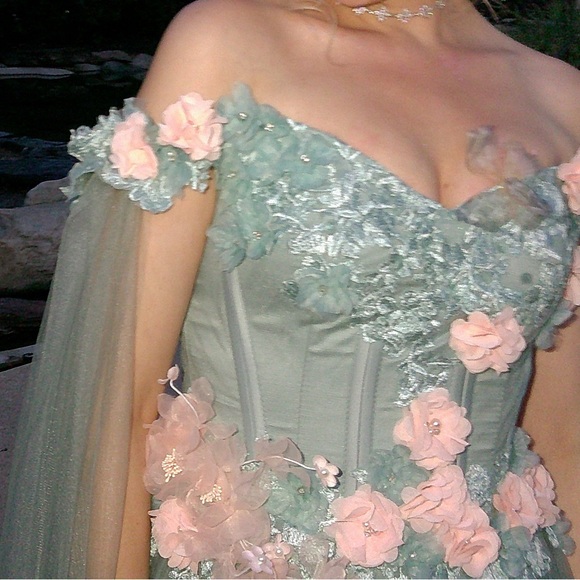 Fairytale prom dress gown - Picture 4 of 5